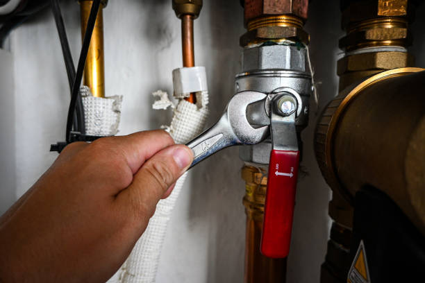 Best Toilet Repair Services  in Bigfoot, TX